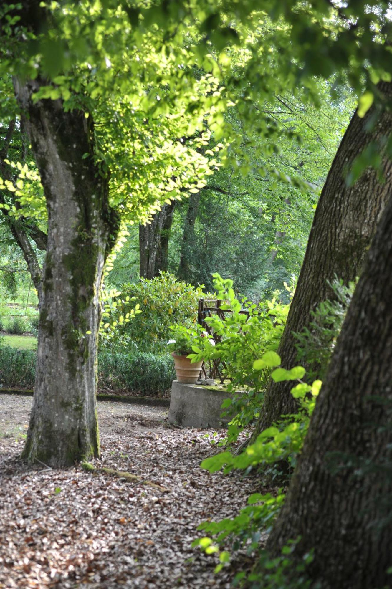 La Maison D'hôtes du Parc Ronchamp Extérieur photo