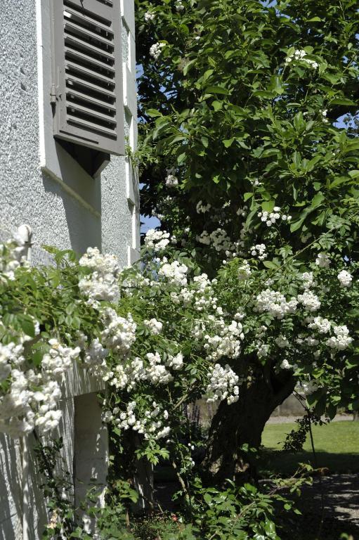 La Maison D'hôtes du Parc Ronchamp Extérieur photo