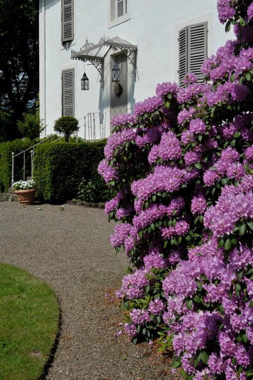 La Maison D'hôtes du Parc Ronchamp Extérieur photo